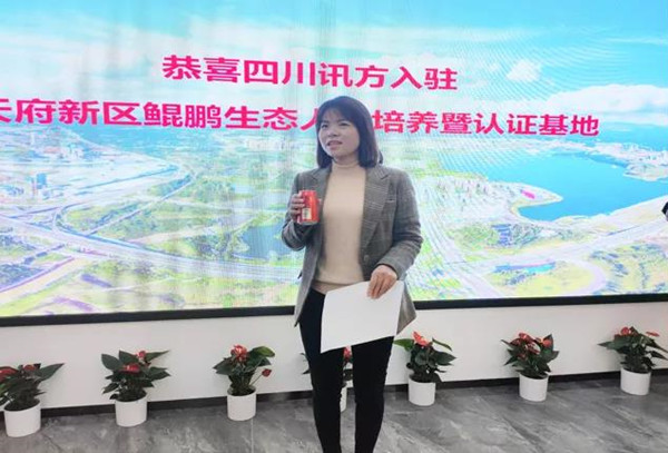 首页- 必发集团有限公司官方网站