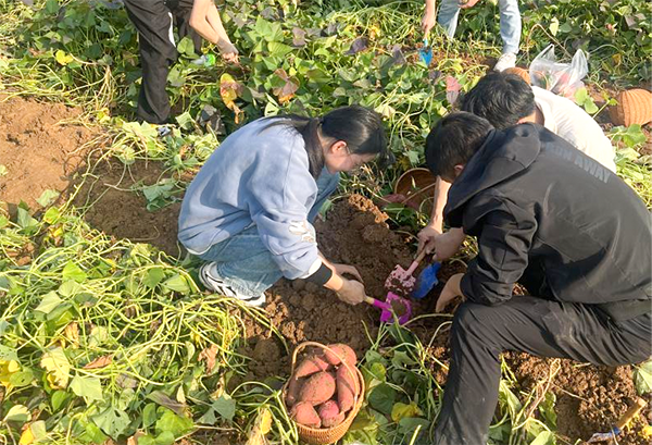 首页- 必发集团有限公司官方网站